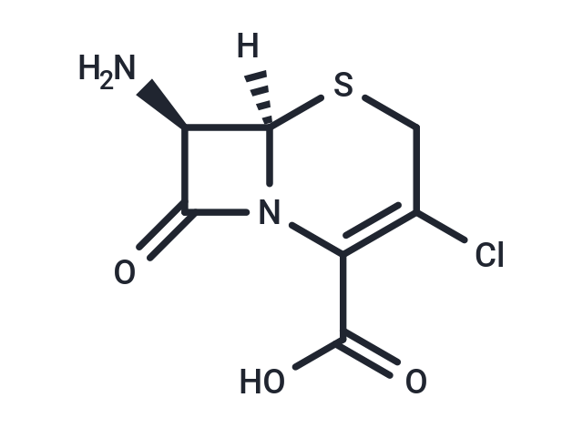 7-Amino-3-chloro cephalosporanic acid