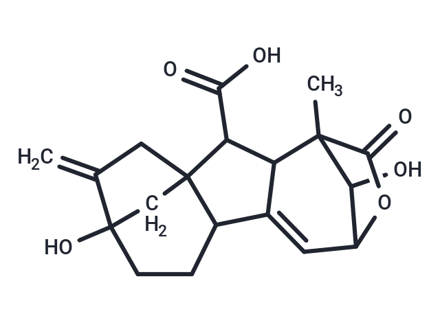 Isogibberellin A3