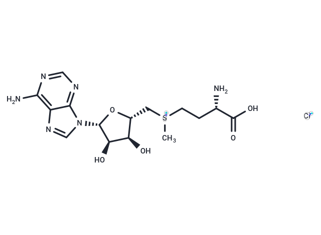 S-(5'-Adenosyl)-L-methionine chloride