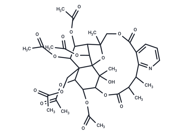 Euonymine