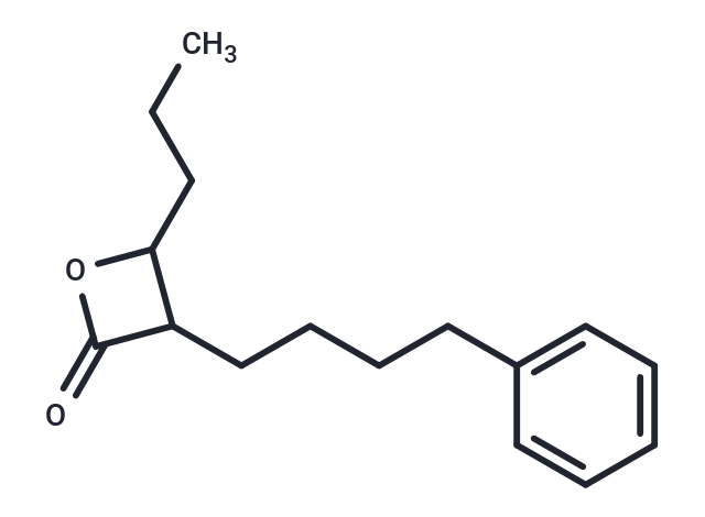 GSK563