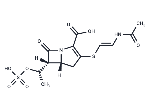 Epithienamycin E