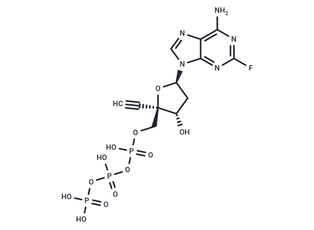 EFdA-TP