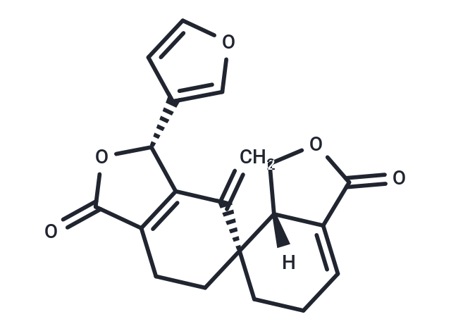 Dugesin C