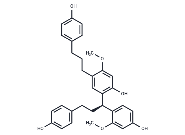 Anemarrhena B