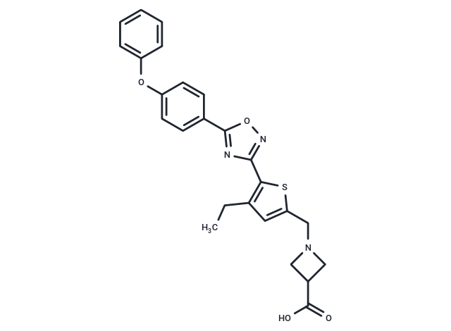 CS 2100