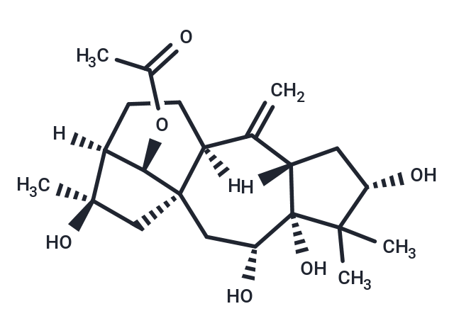 Grayanotoxin IV