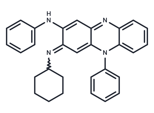 B 669