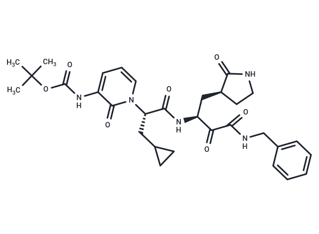 SARS-CoV-2-IN-1