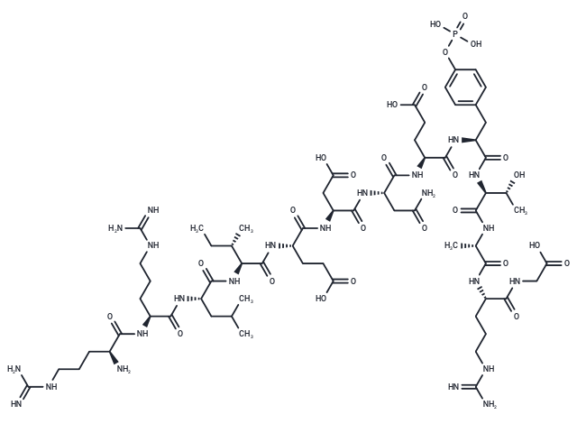 pp60 (v-SRC) Autophosphorylation Site, Phosphorylated