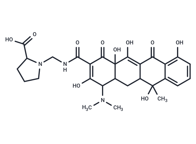 Prolinomethyltetracycline