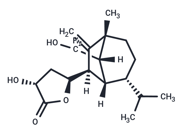 Sorokinianin