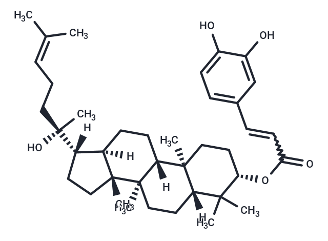 Dammarenediol II 3-O-caffeate