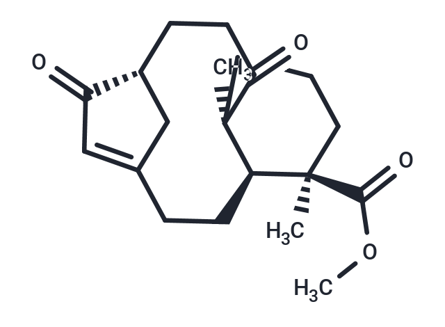 Foetidin