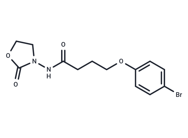 YXL-13