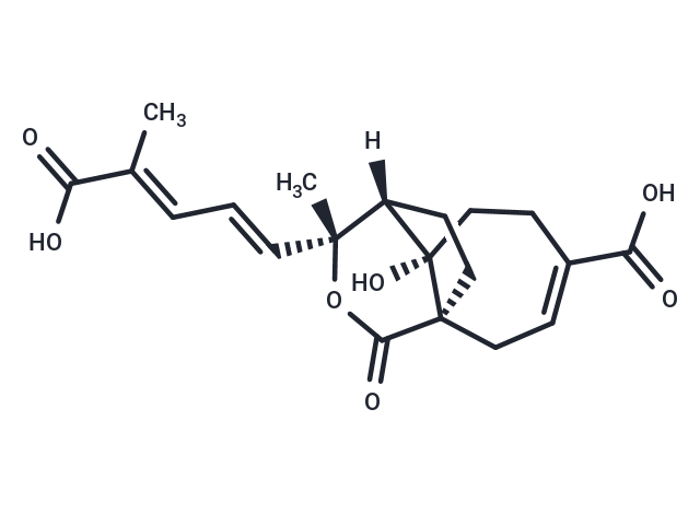 Demethoxydeacetoxypseudolaric acid B analog