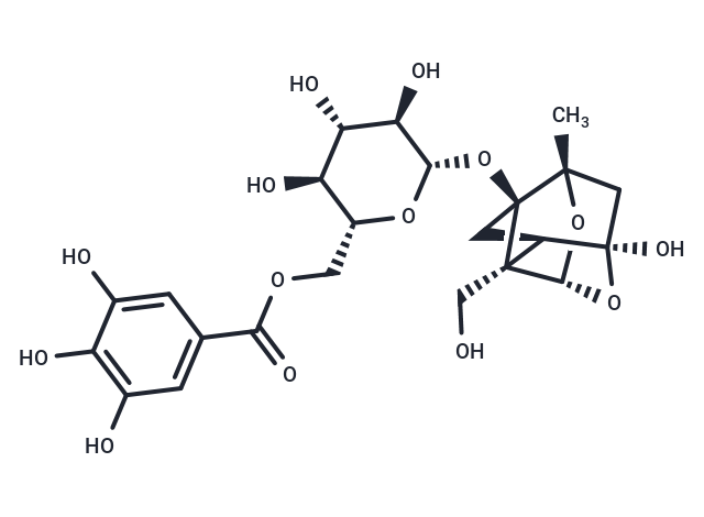 Debenzoylgalloylpaeoniflorin