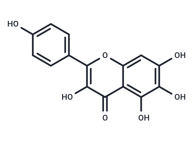 6-Hydroxykaempferol