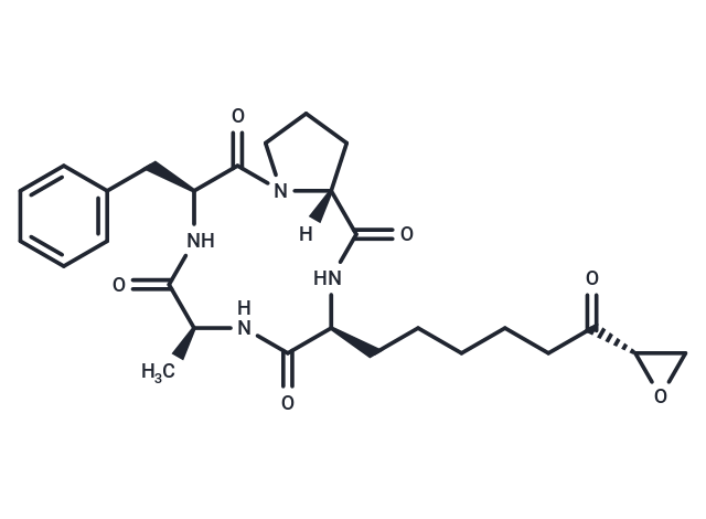 1-Alaninechlamydocin