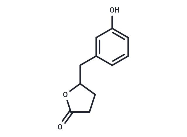 5-(3'-Hydroxyphenyl)-γ-Valerolactone