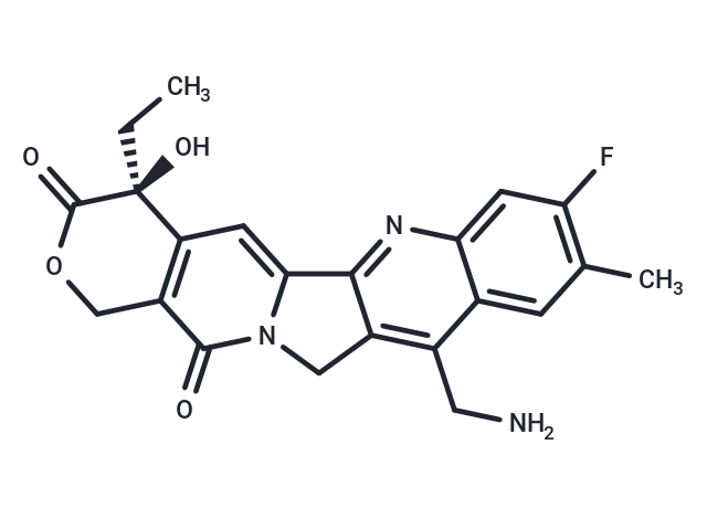 7-Aminomethyl-10-methyl-11-fluoro camptothecin