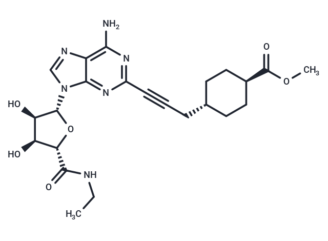 Apadenoson