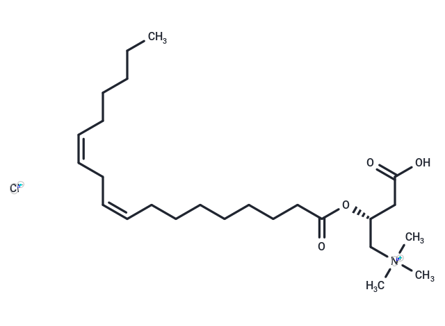 Linoleoyl-L-carnitine (chloride)