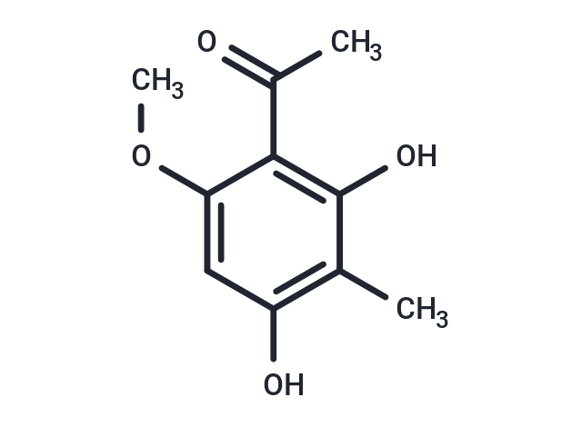 Ebracteolata cpd B