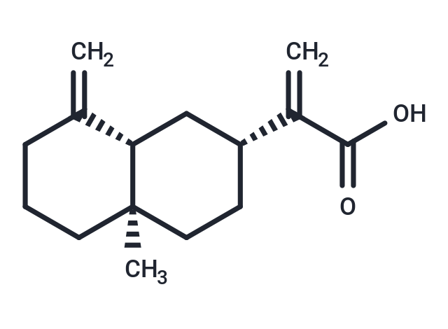 beta-Costic acid