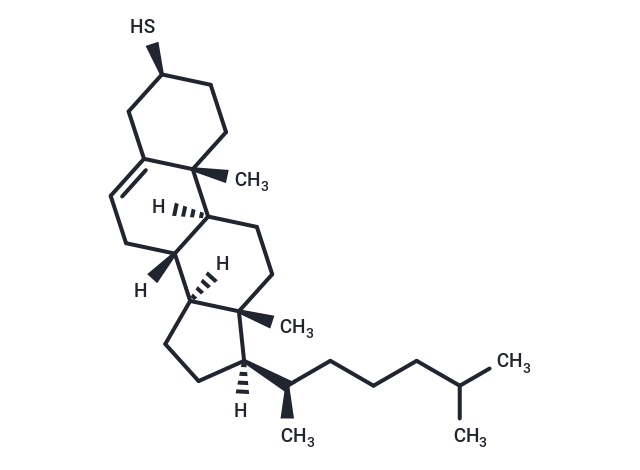 Thiocholesterol