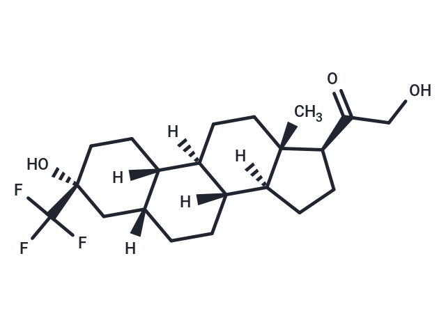 GMA-839