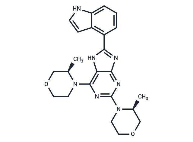 PI3K/mTOR Inhibitor-9