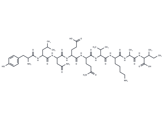 ferritin heavy chain fragment [Multiple species]