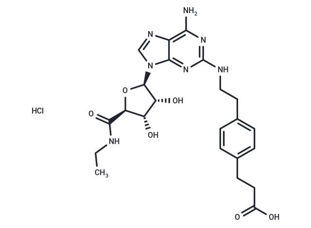 CGS 21680 Hydrochloride