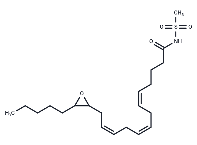 (±)14(15)-EET-SI