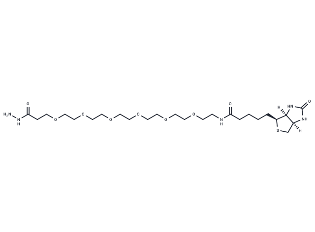 (+)-Biotin-PEG6-hydrazide