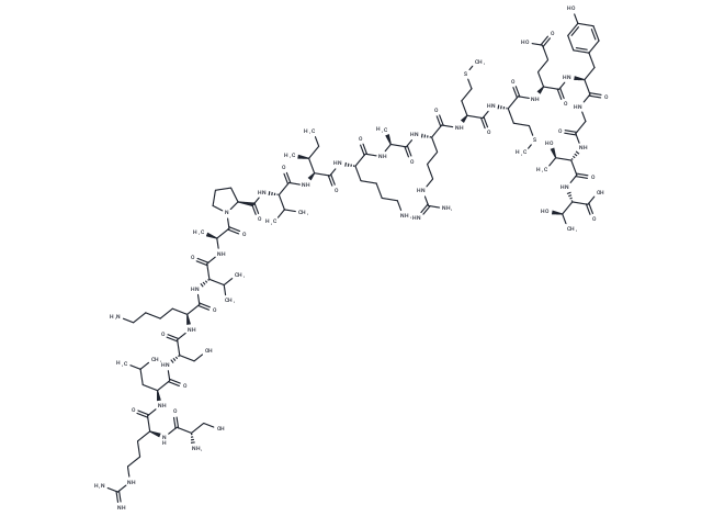 GAD65 (524-543)