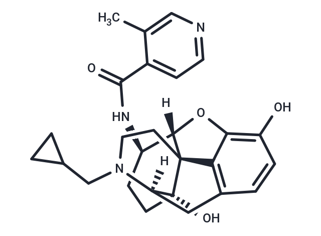 CXN37378