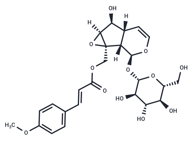 10-O-Trans-p-methoxycinnamoylcatalpol