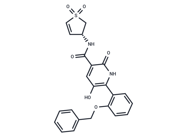 WRN inhibitor 5