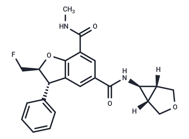 GSK973