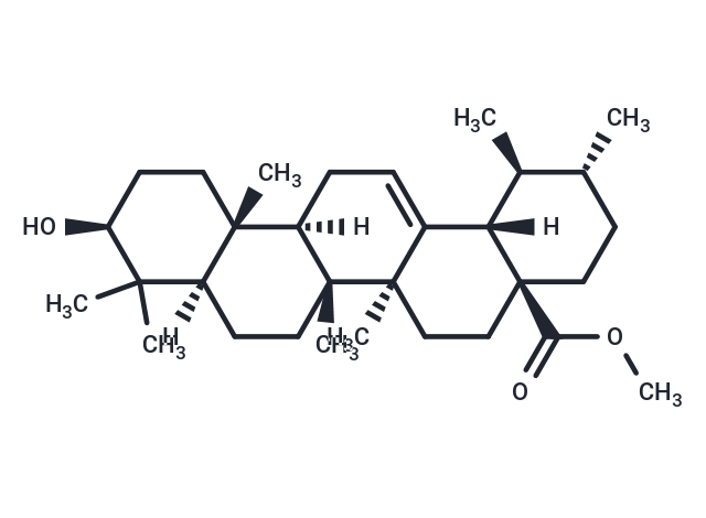 URSOLIC ACID METHYL ESTER