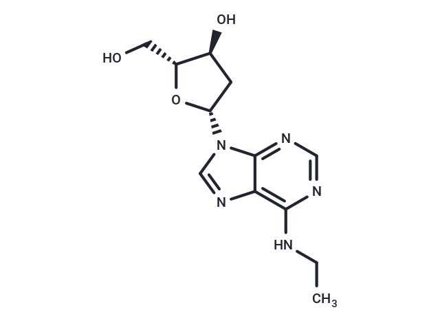 N6-Ethyl-2'-deoxyadenosine