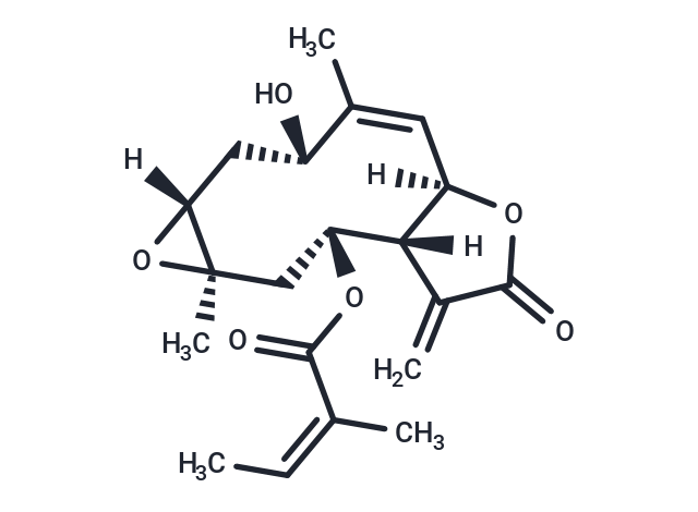 Leptocarpin