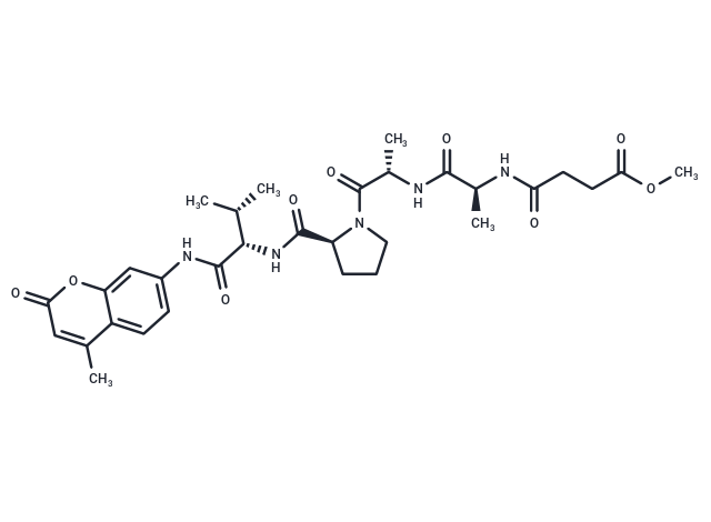 MeOSuc-AAPV-AMC