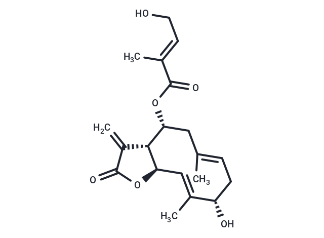 Eupalinolide K