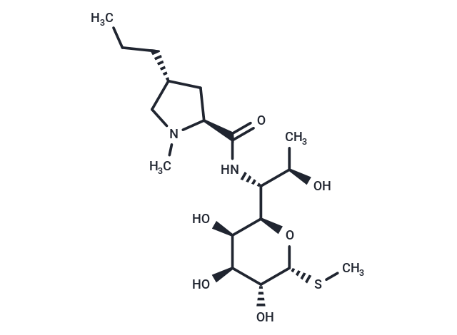 Lincomycin