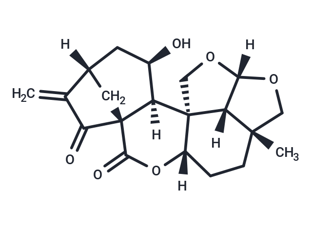 Sculponeatin B