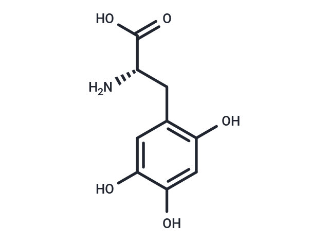 Levadopa Related Compound A