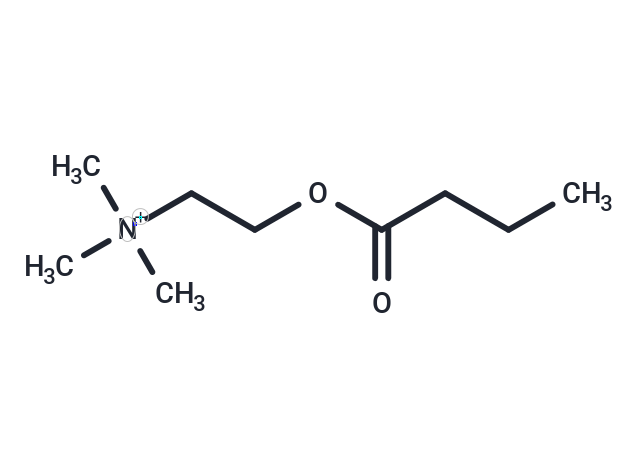 Butyrylcholine